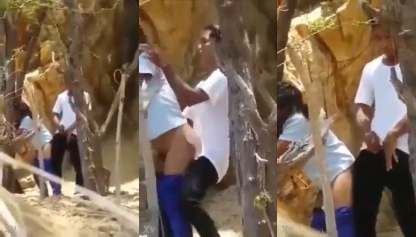 Pondicherry aurovile forestil tourist sex pannum video capture